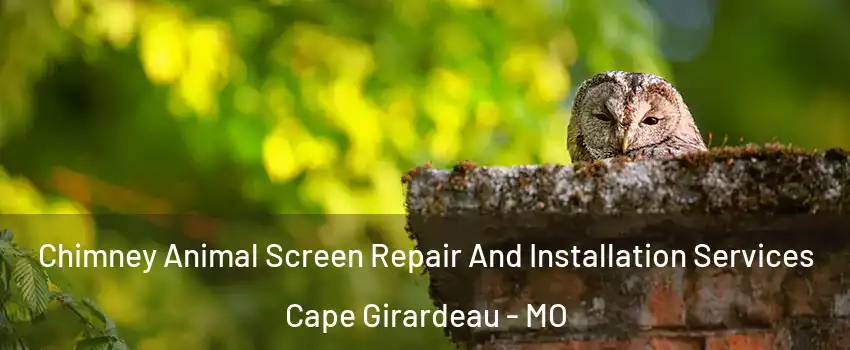  Chimney Animal Screen Repair And Installation Services Cape Girardeau - MO