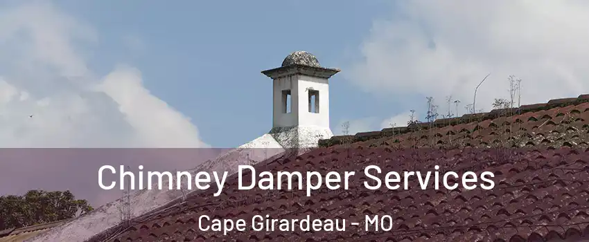  Chimney Damper Services Cape Girardeau - MO