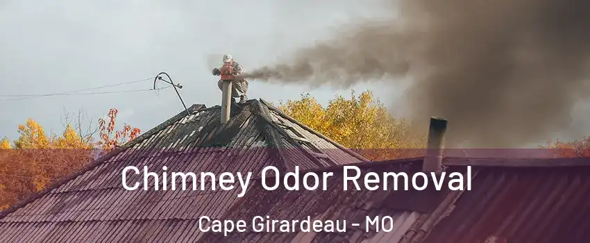  Chimney Odor Removal Cape Girardeau - MO