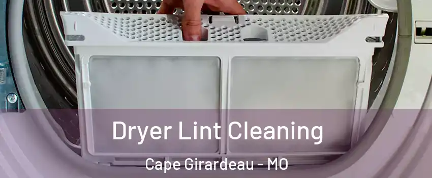 Dryer Lint Cleaning Cape Girardeau - MO