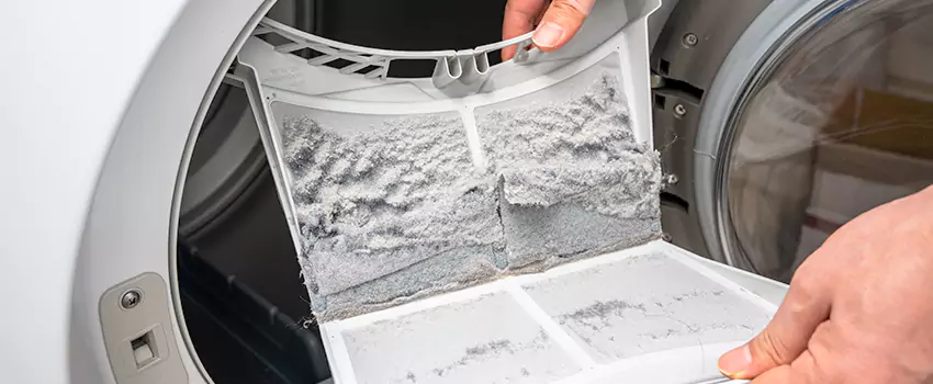 Best Dryer Lint Removal Company in Cape Girardeau, Missouri