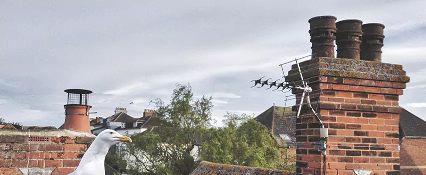 Chimney Cleaning And Restoration in Cape Girardeau, Missouri