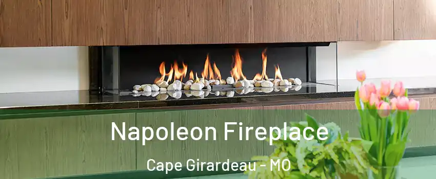  Napoleon Fireplace Cape Girardeau - MO
